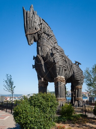 Image Trojan Horse Award